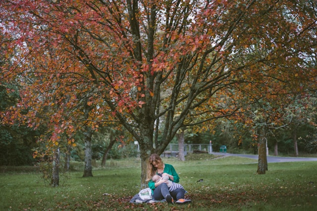 Image of a mother and child in a park sitting under a tree showing fall colors