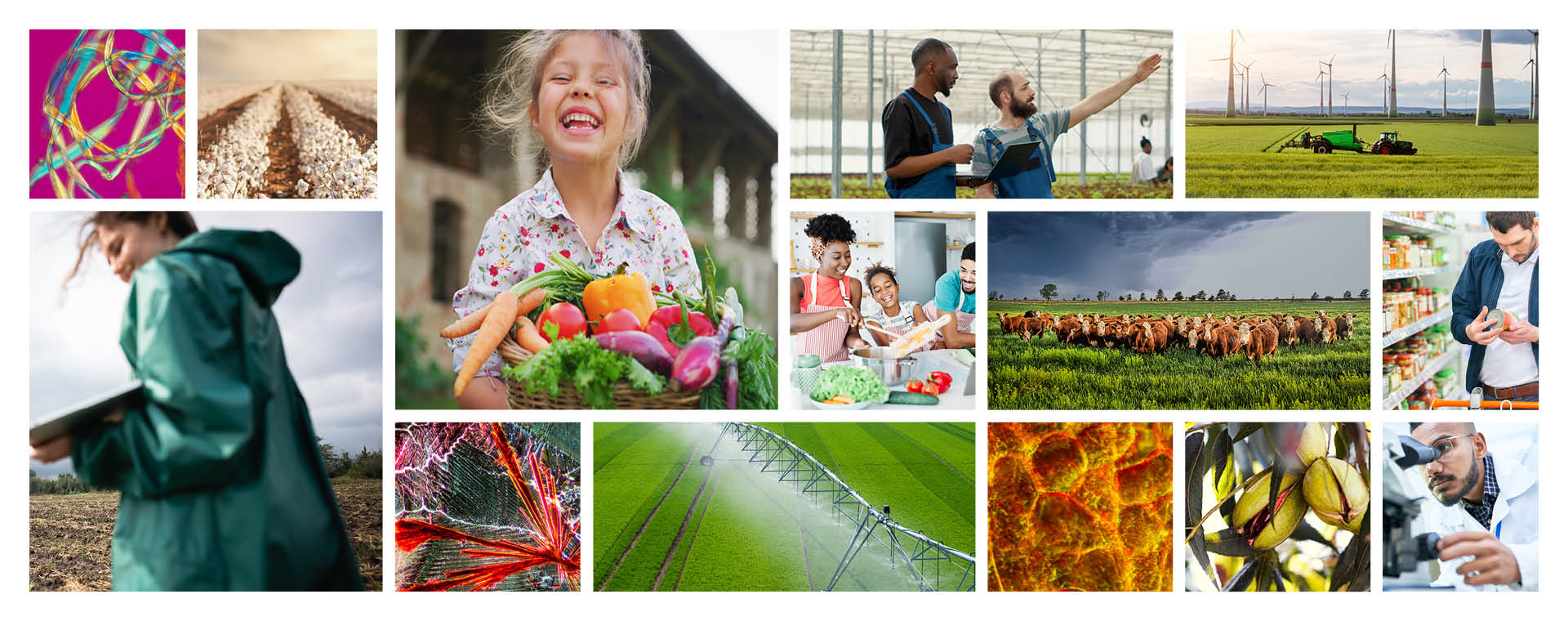 Collage image featuring cellular-level photography, agricultural images, and people holding fresh produce.